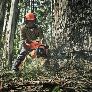 Tronçonneuse à Essence 390 XP Husqvarna