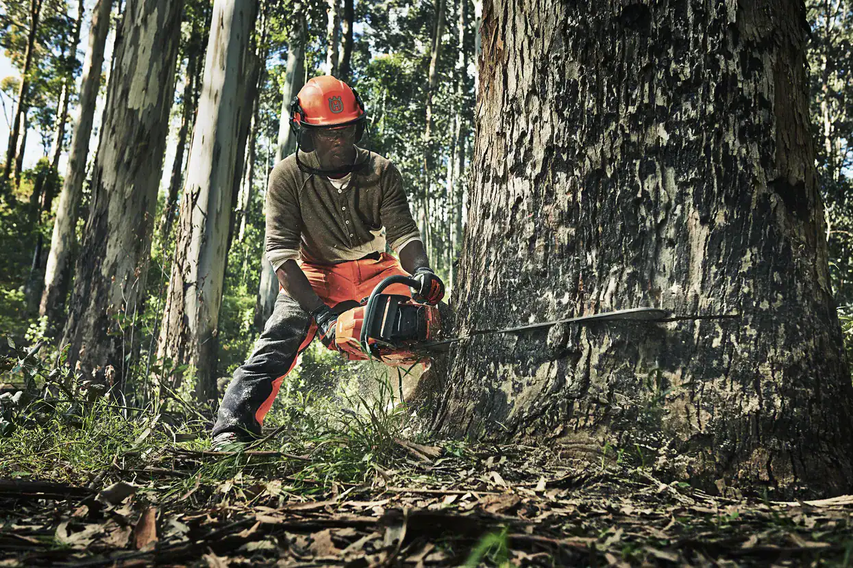 Tronçonneuse à Essence 390 XP Husqvarna