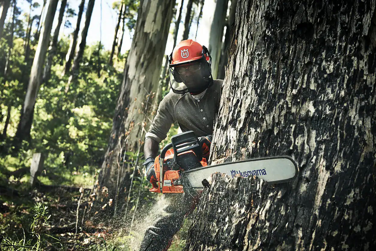 Tronçonneuse à Essence 390 XP Husqvarna