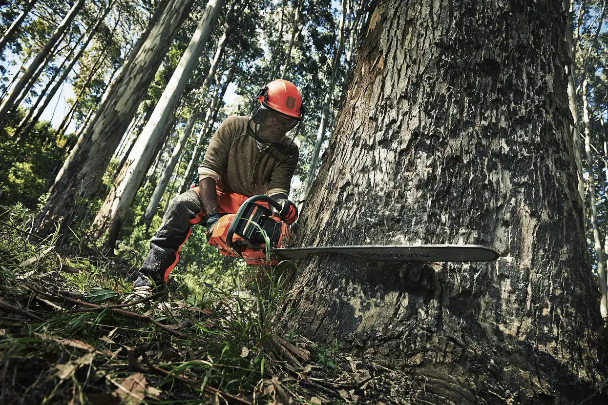 Tronçonneuse à Essence 390 XP Husqvarna