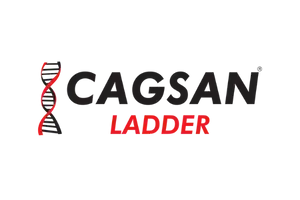 Cagsan